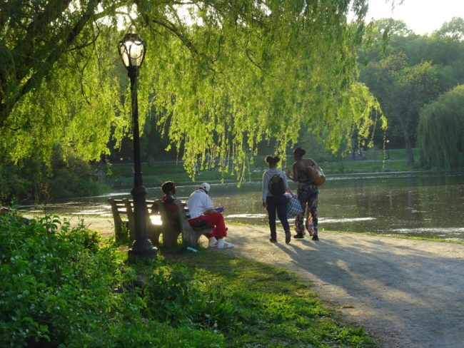 Central Park