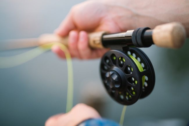Spinning Reels