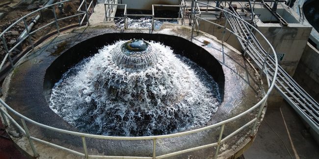 Anaerobic digester