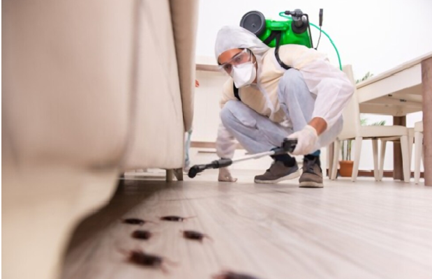 Pest Control Richmond